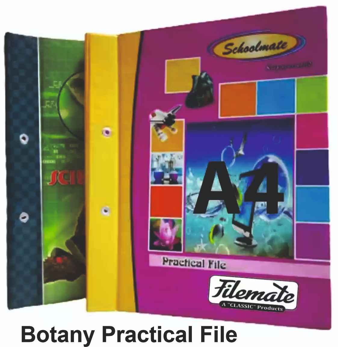 Botany Practical File