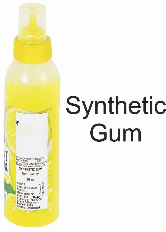 Gums
